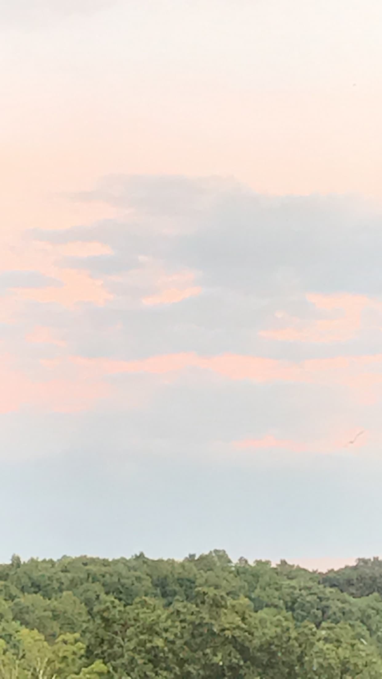 j* banner image