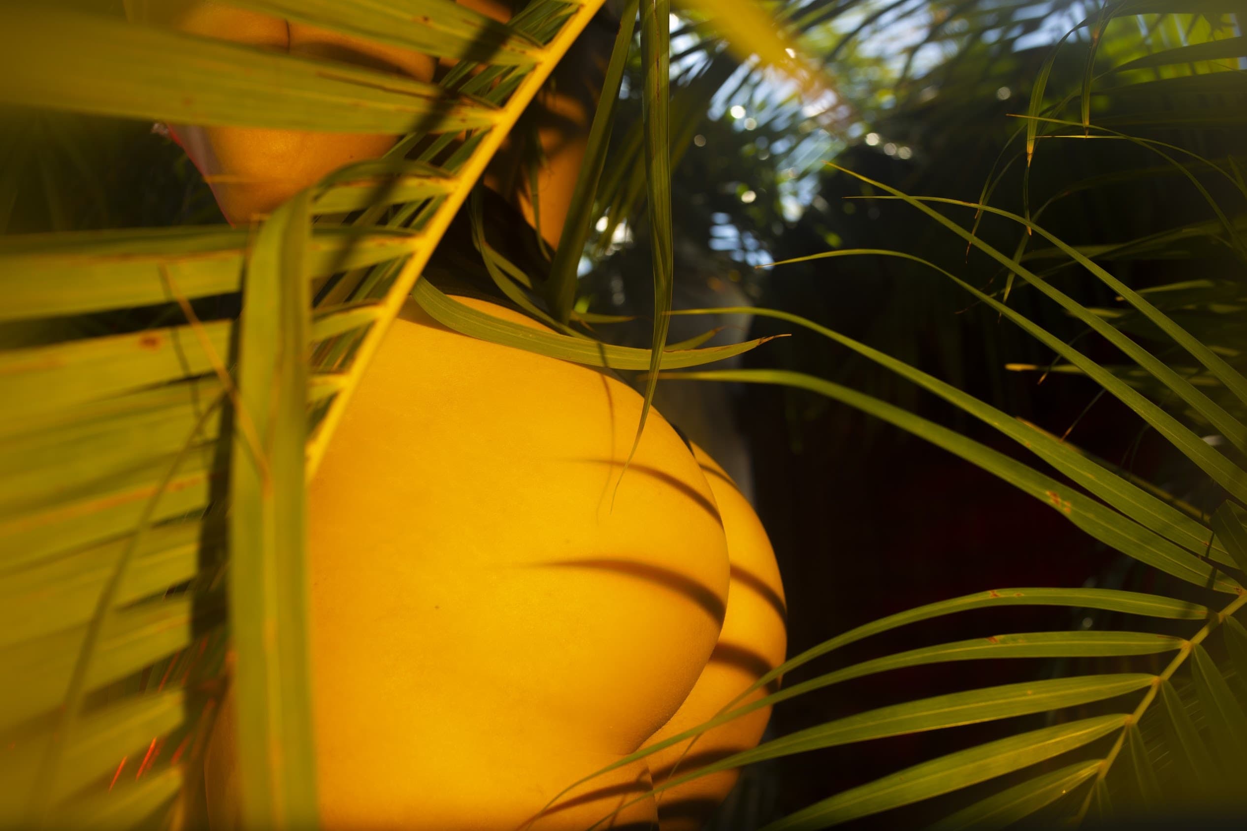 Dahlia Luxxx banner image