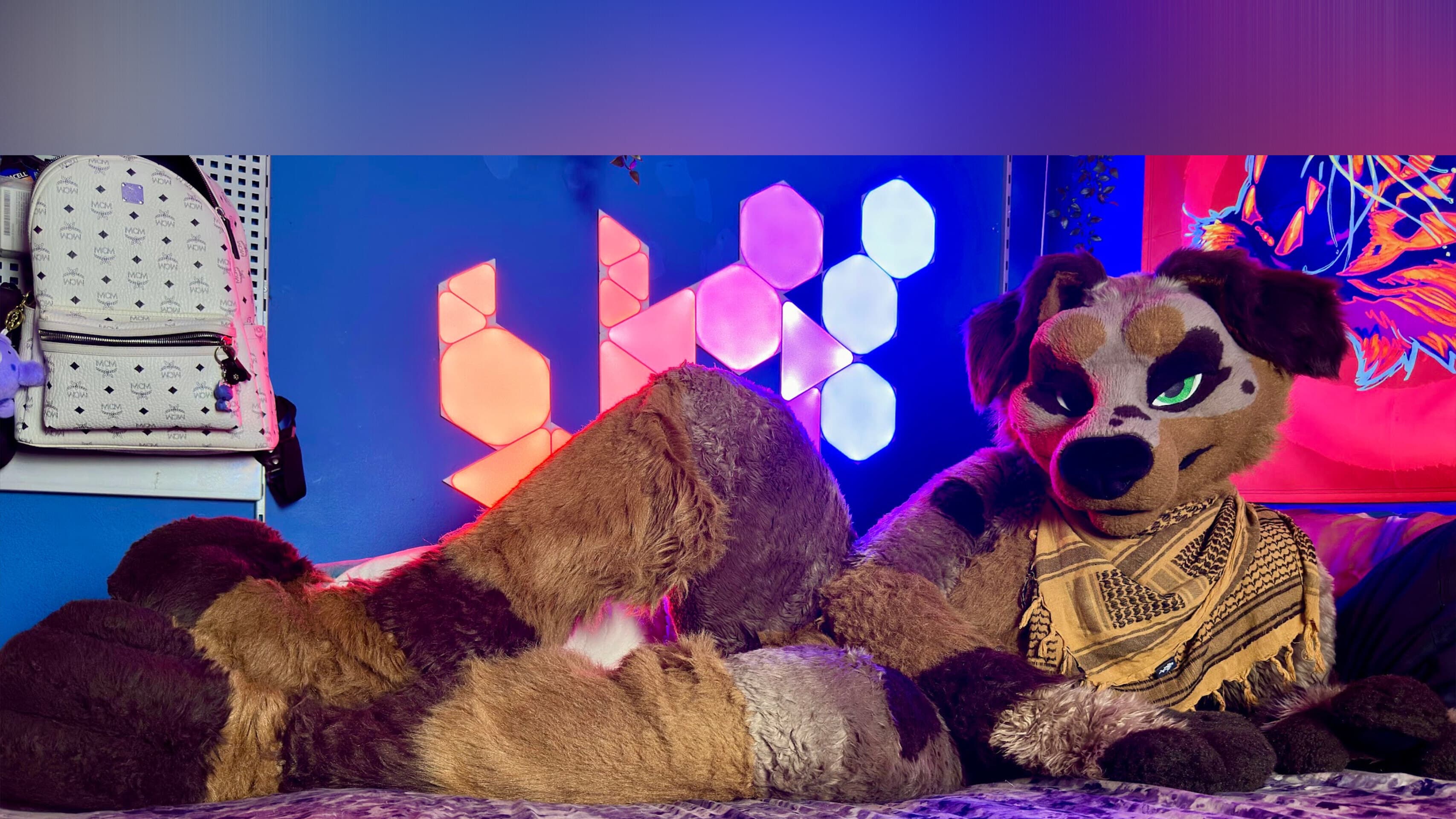Finn’s Bone 🔜 FWA banner image