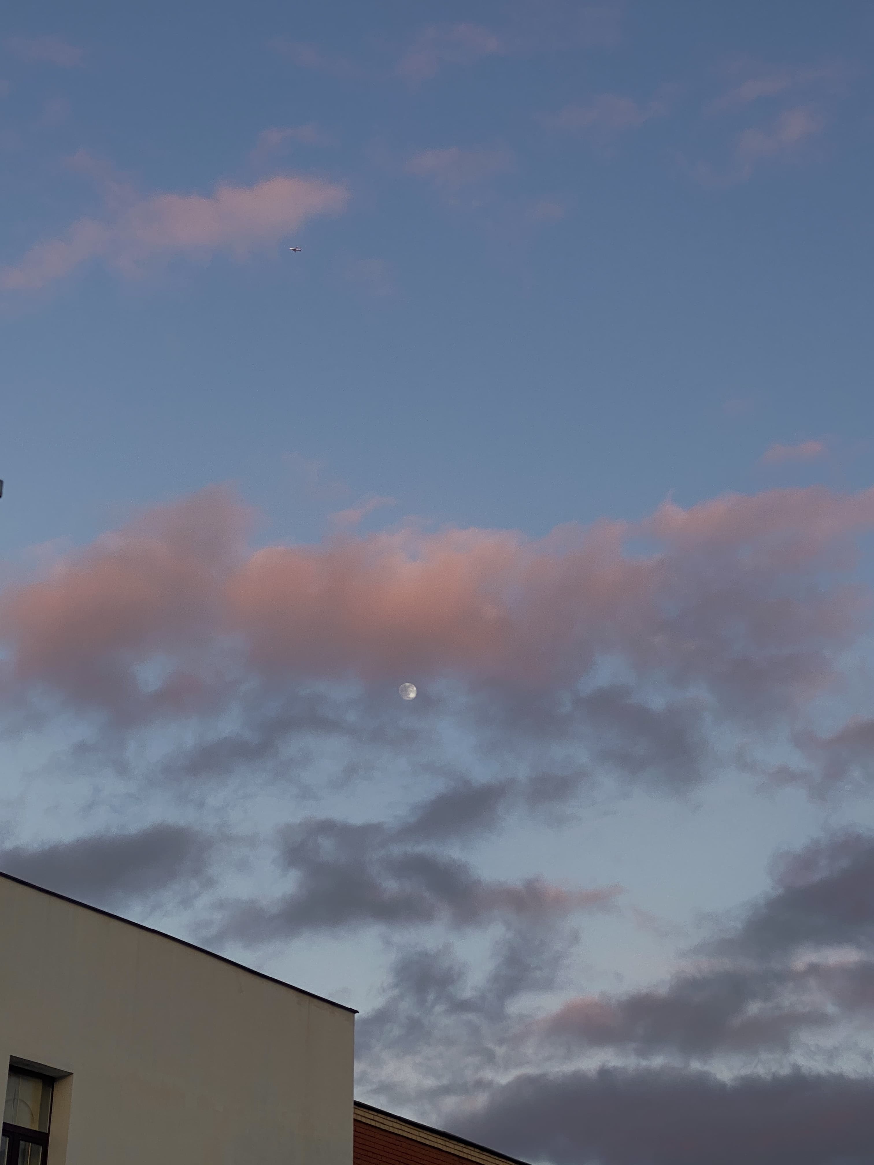 u138444204 banner image