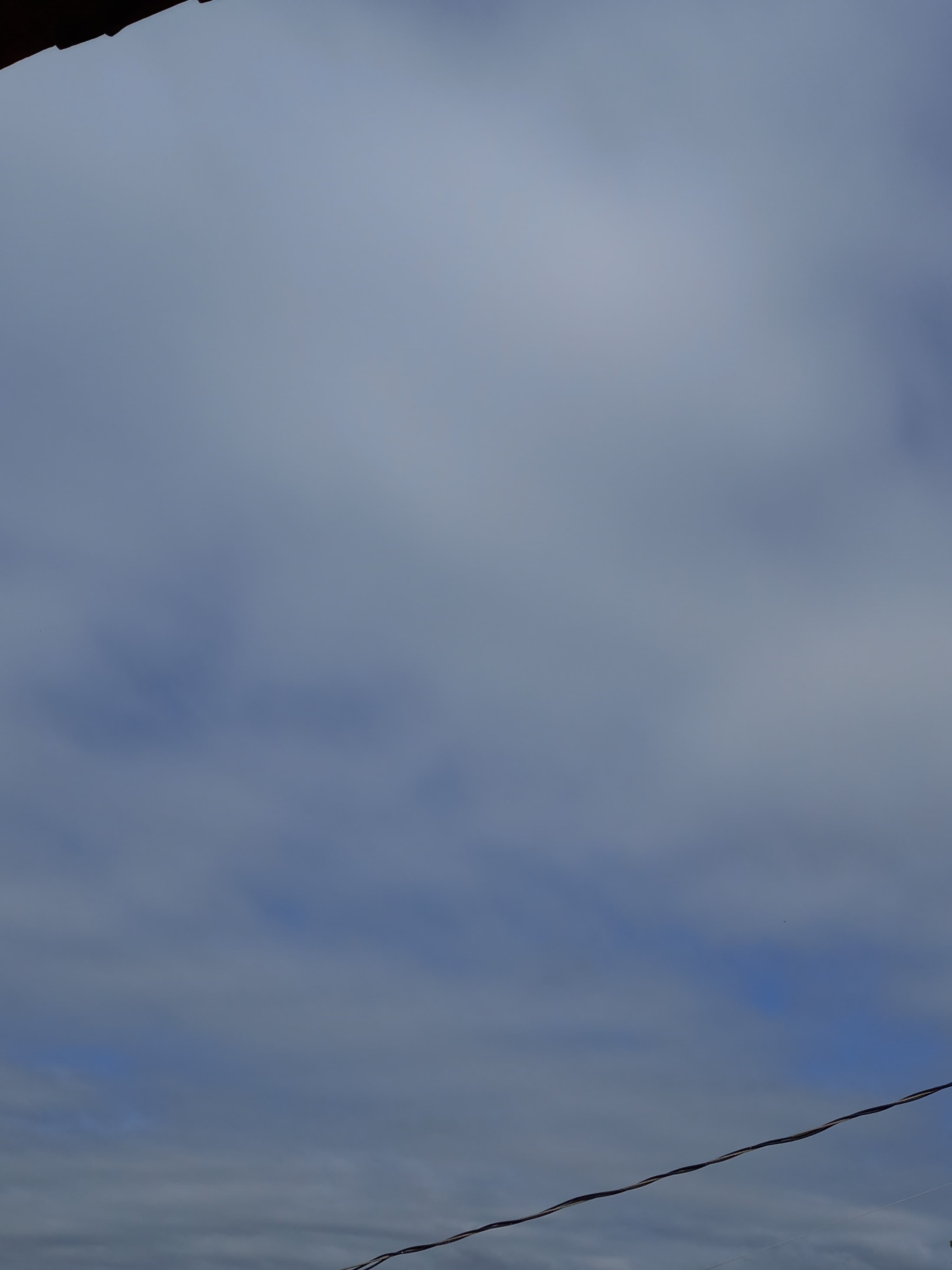 Chocolate Booty banner image