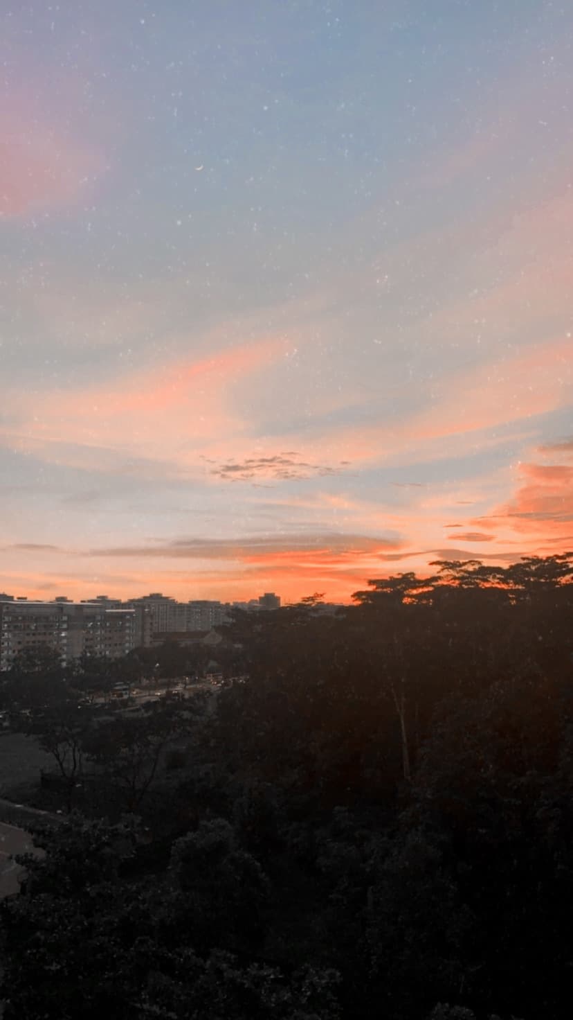 pabo banner image