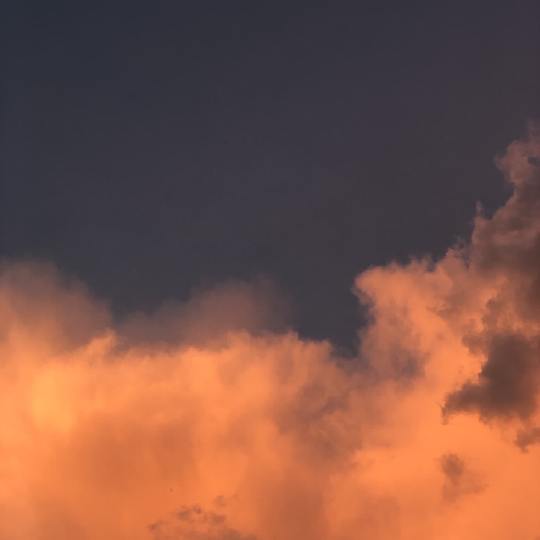 yourberlinboy banner image
