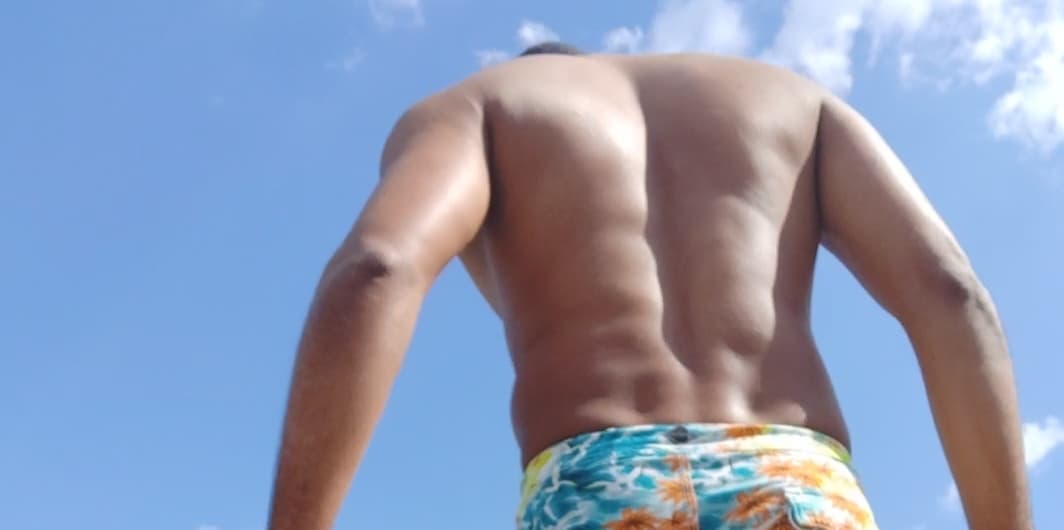 José banner image