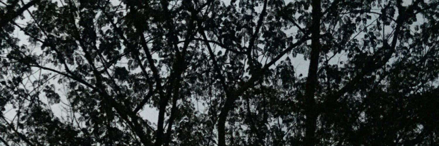 JuankyJ21 banner image