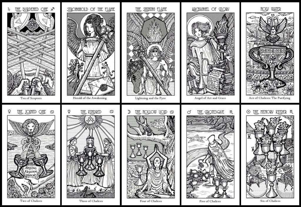 Rasus banner image