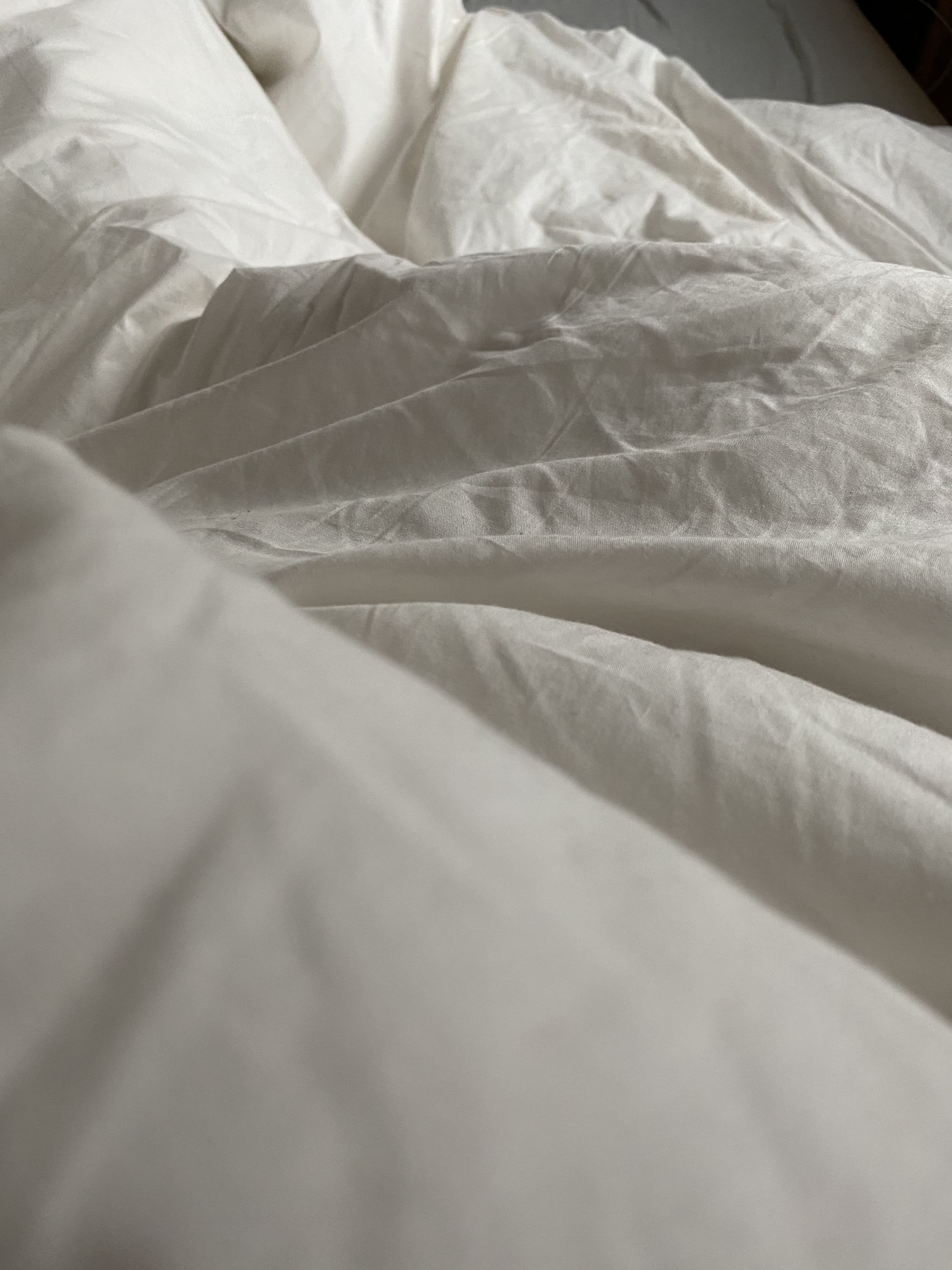 Annakkk banner image