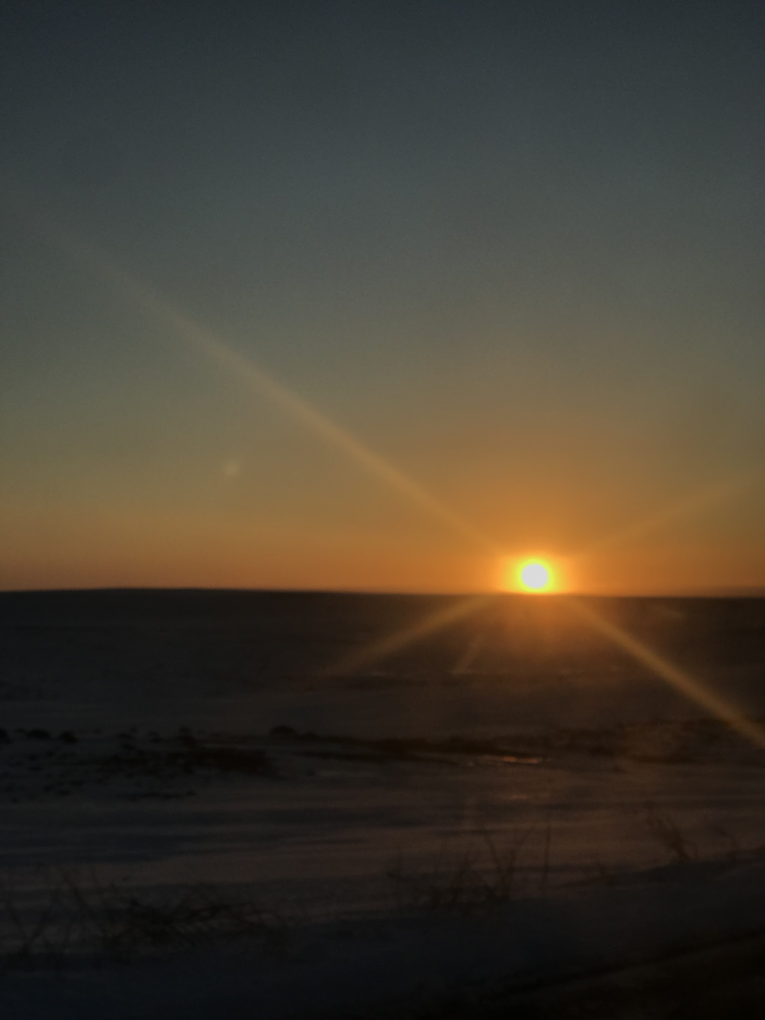 Sunna banner image