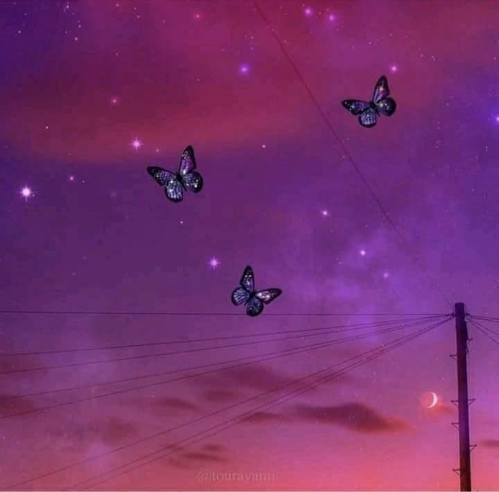 𝓛𝓲𝓵 𝓫𝓪𝓫𝔂 🍒 banner image