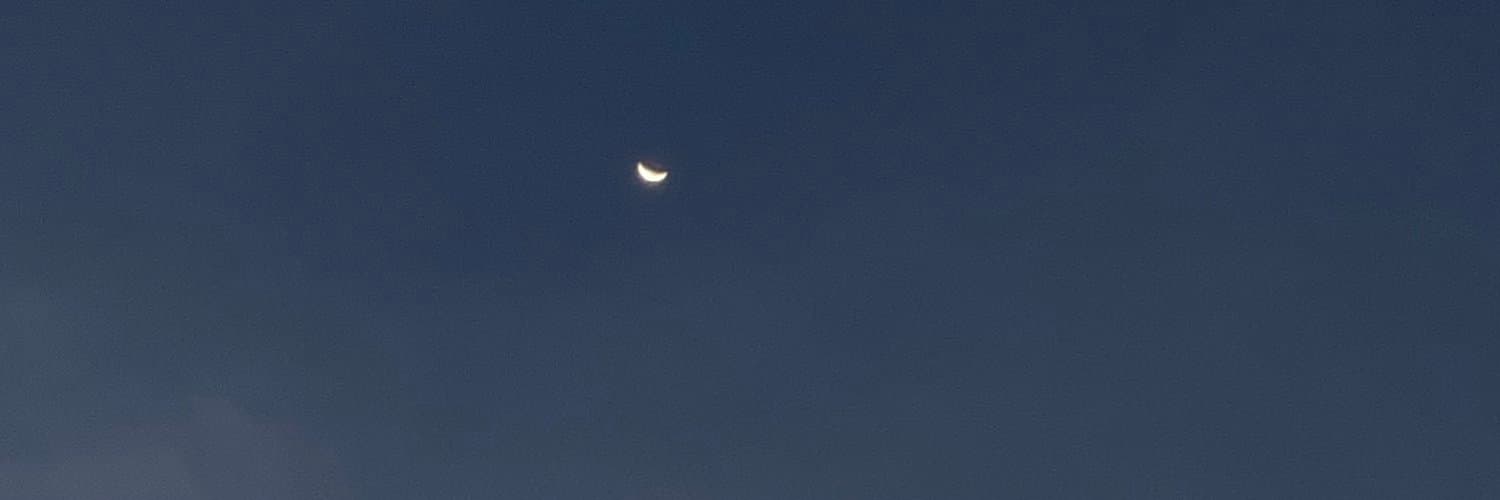 小绵羊 banner image