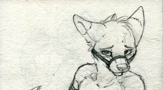 Papa Fox banner image