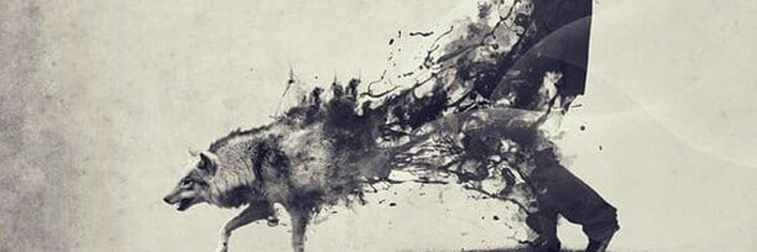 Ander banner image