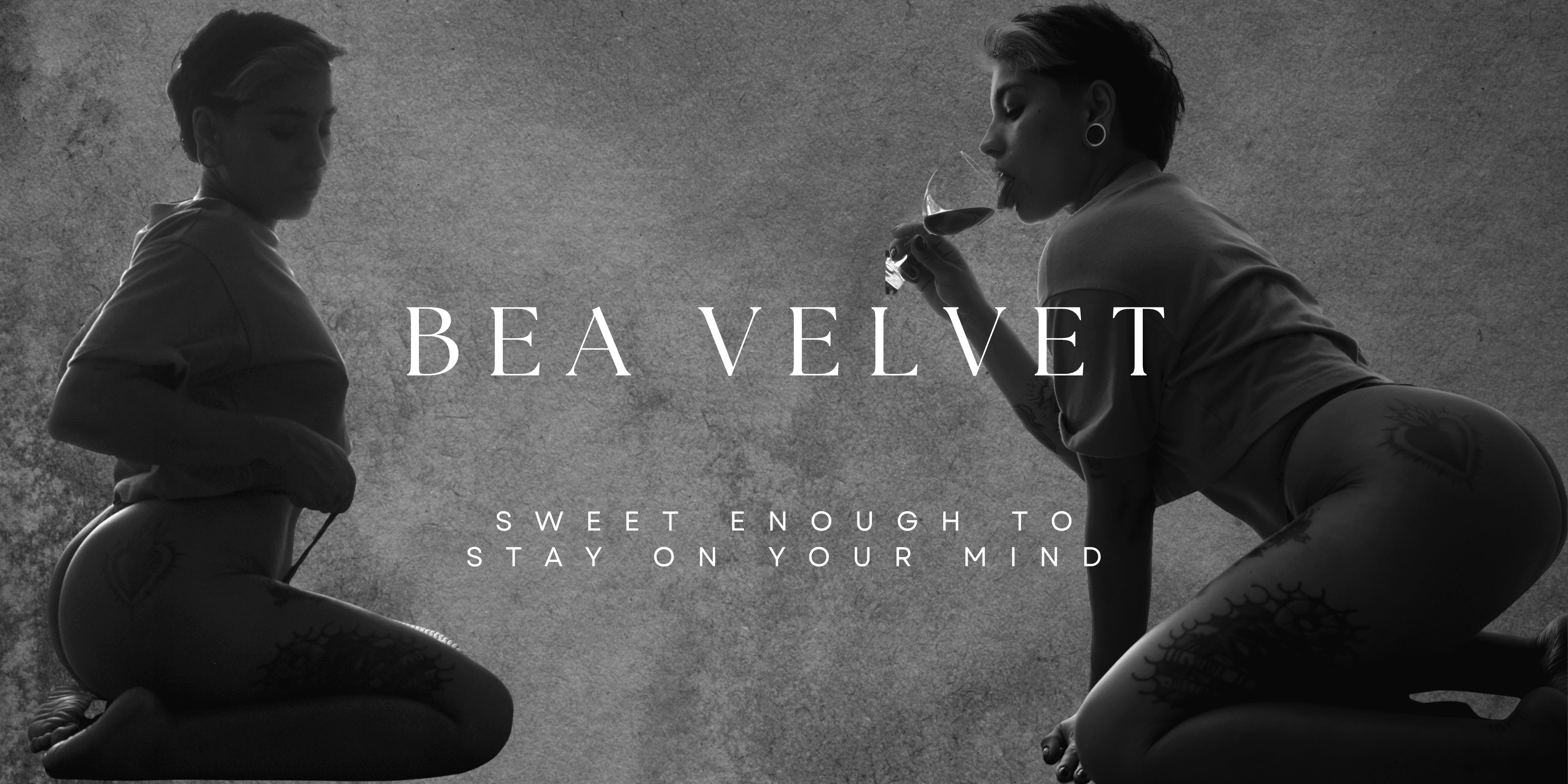 ✿•BeaVelvet•✿ banner image