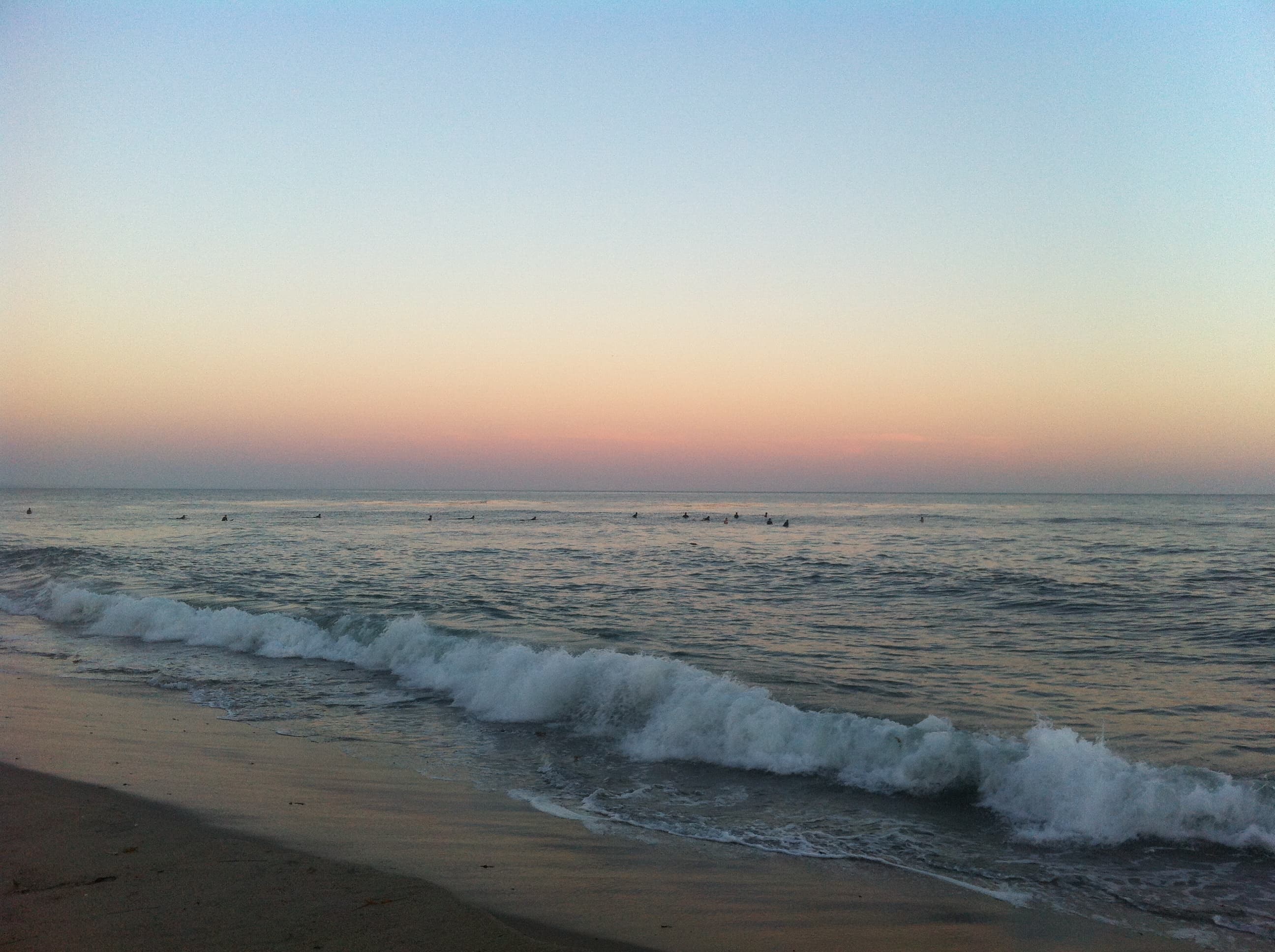 Ava banner image