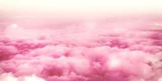 🎀 WonderTease 🎀 banner image