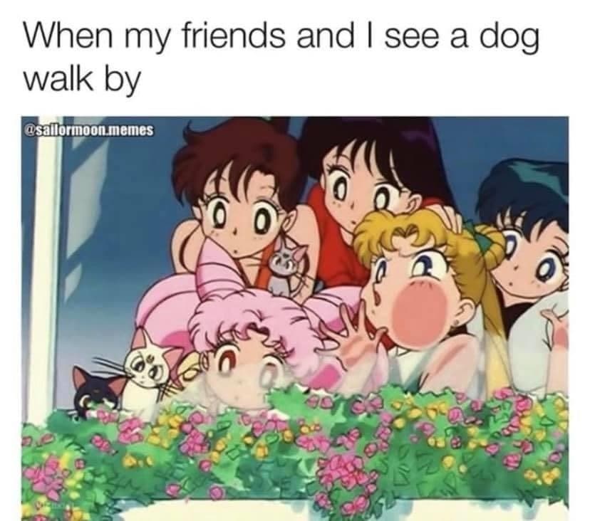 ThiccStonerGf banner image