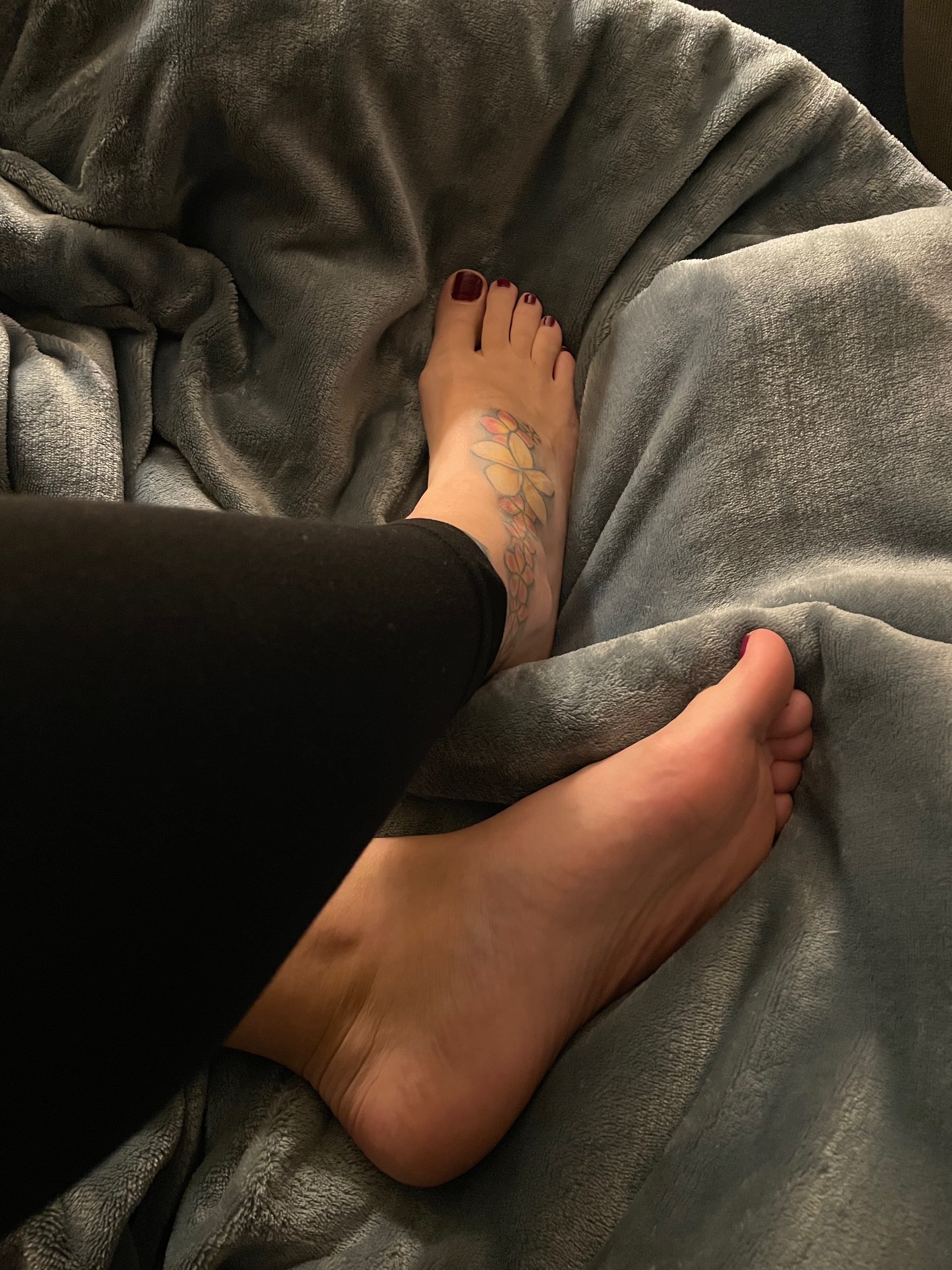 Barefoot Bunny banner image