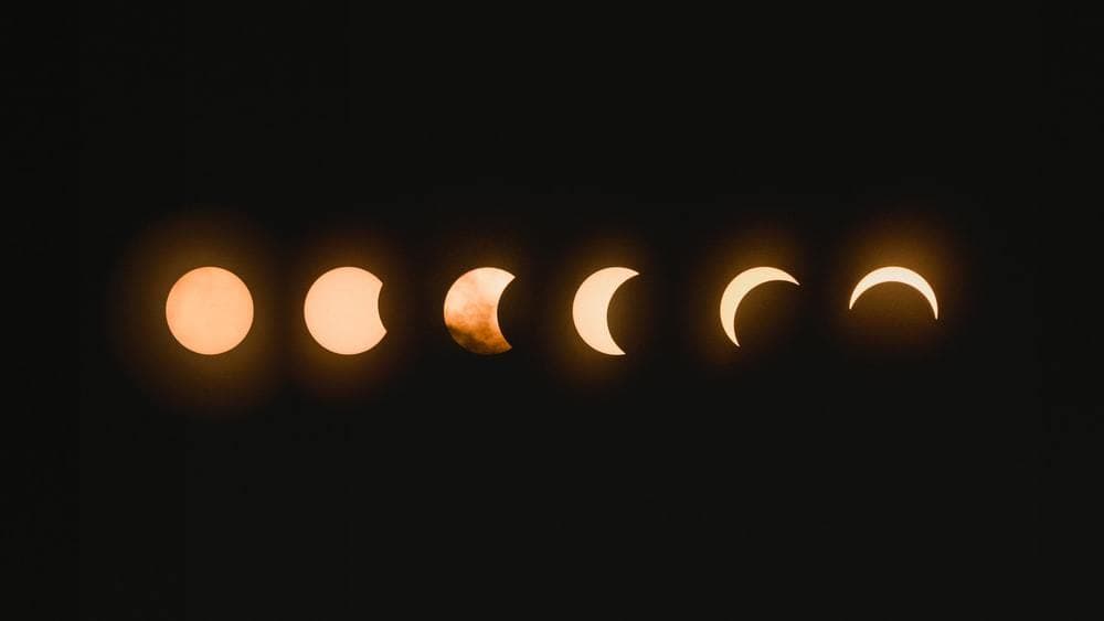 Savannah banner image