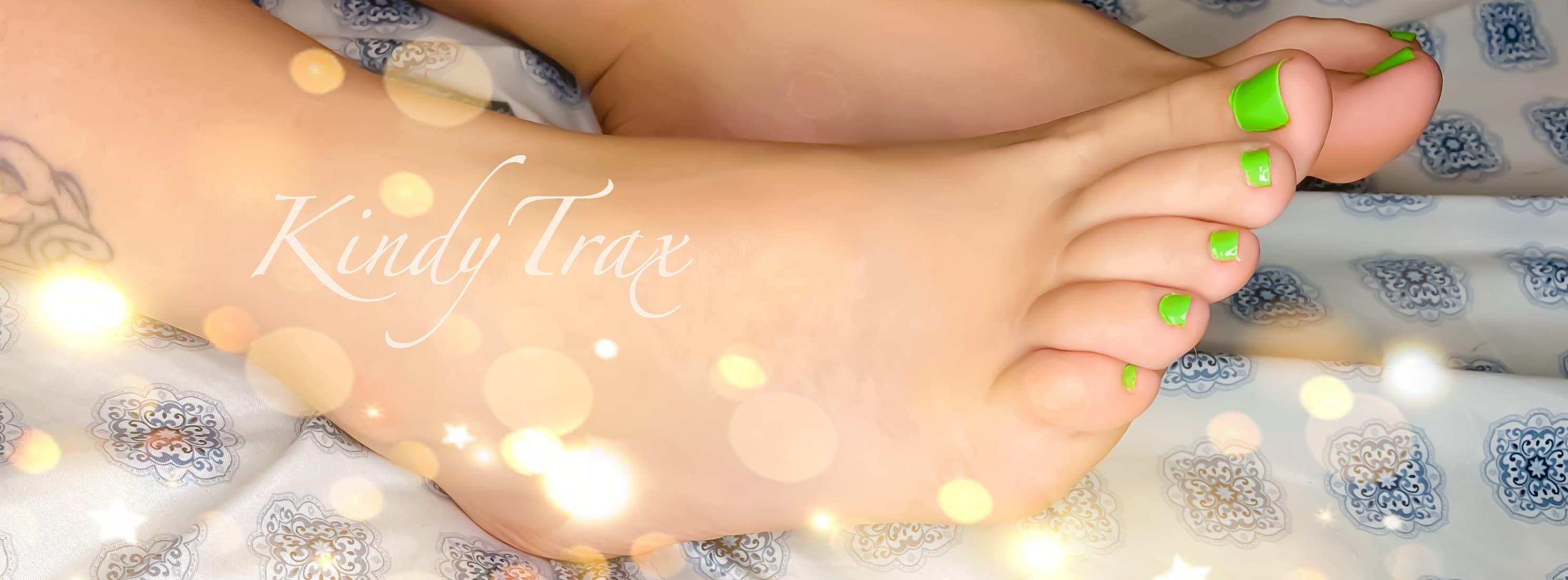 KindyTrax banner image