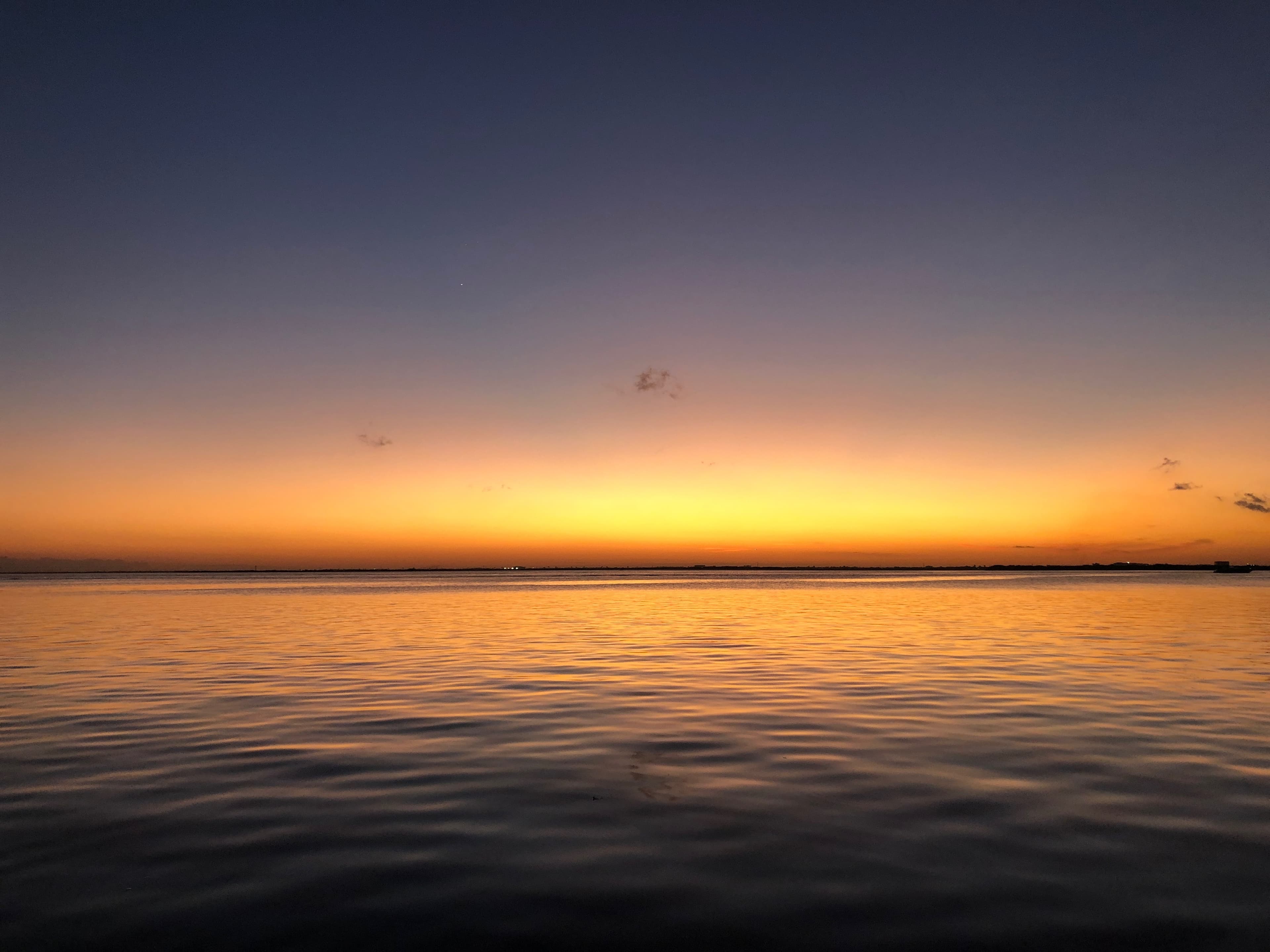 WES Retch banner image