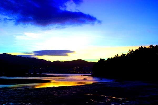 maiquel marin badilla banner image