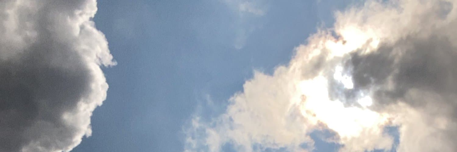 AMIR banner image