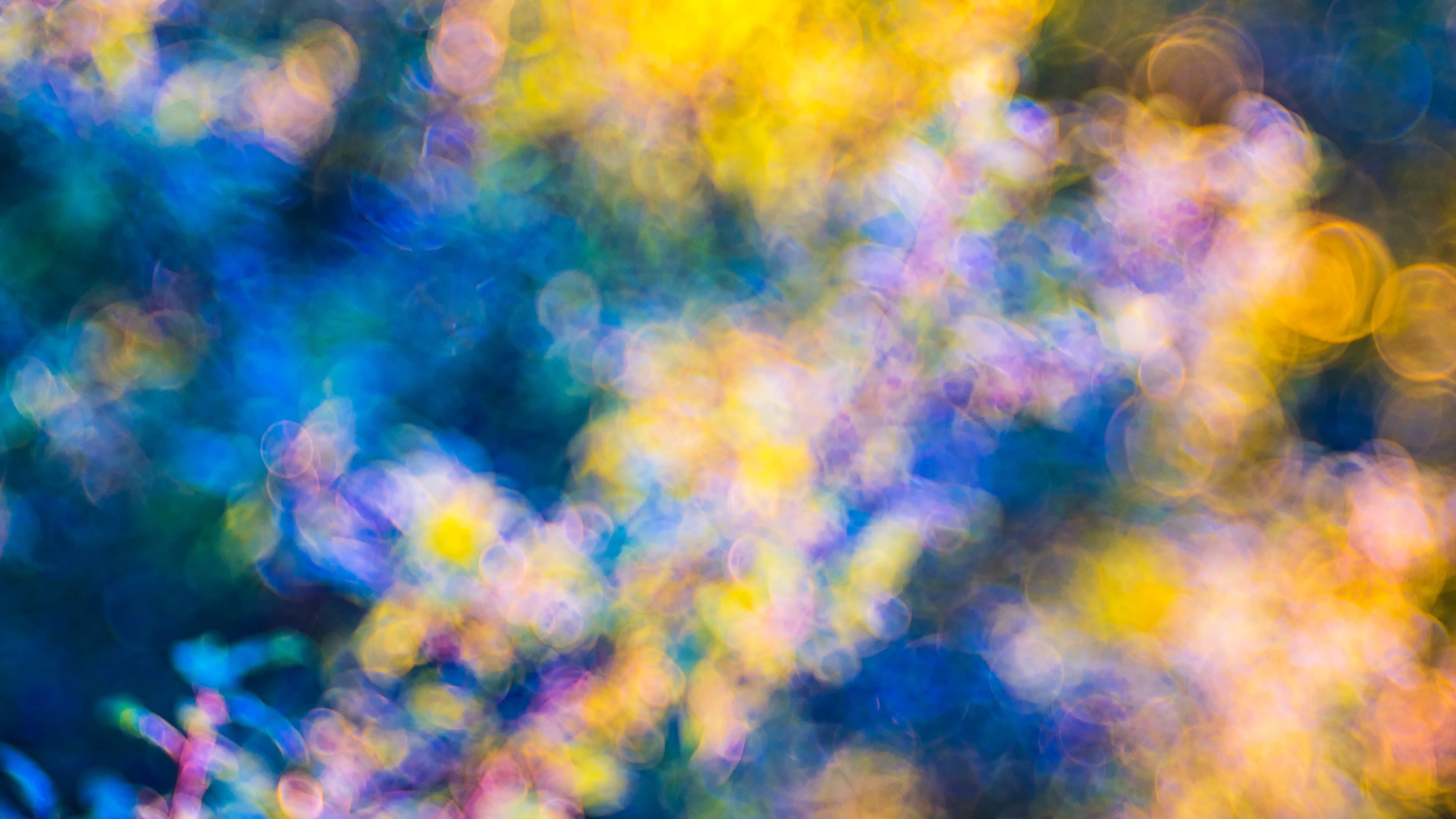hannesflo banner image