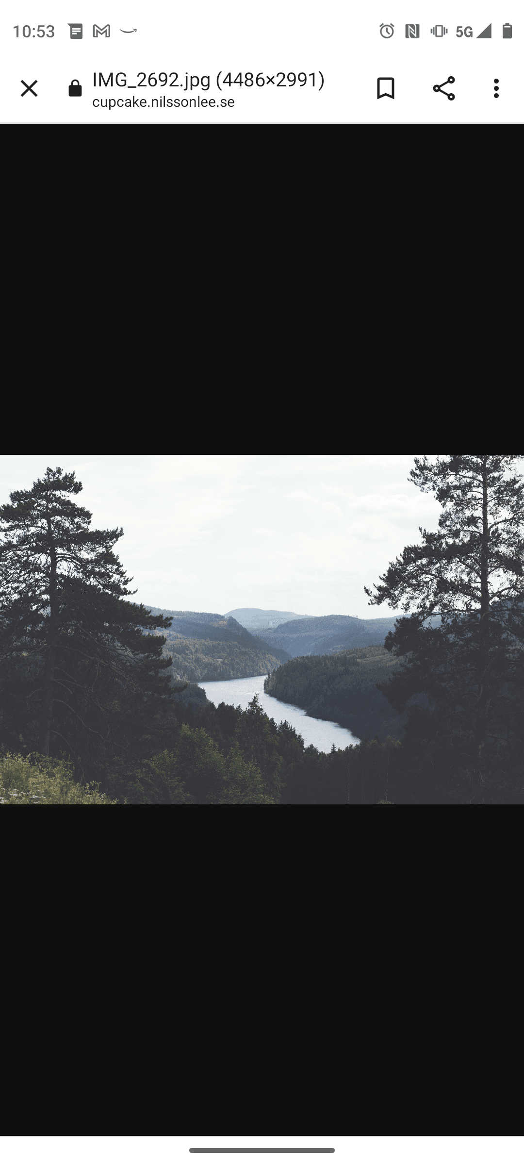 Juniper Mille banner image