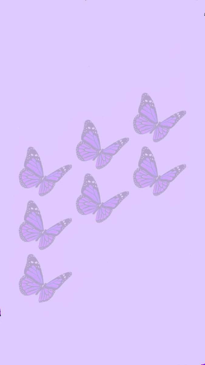 PrincessCho banner image