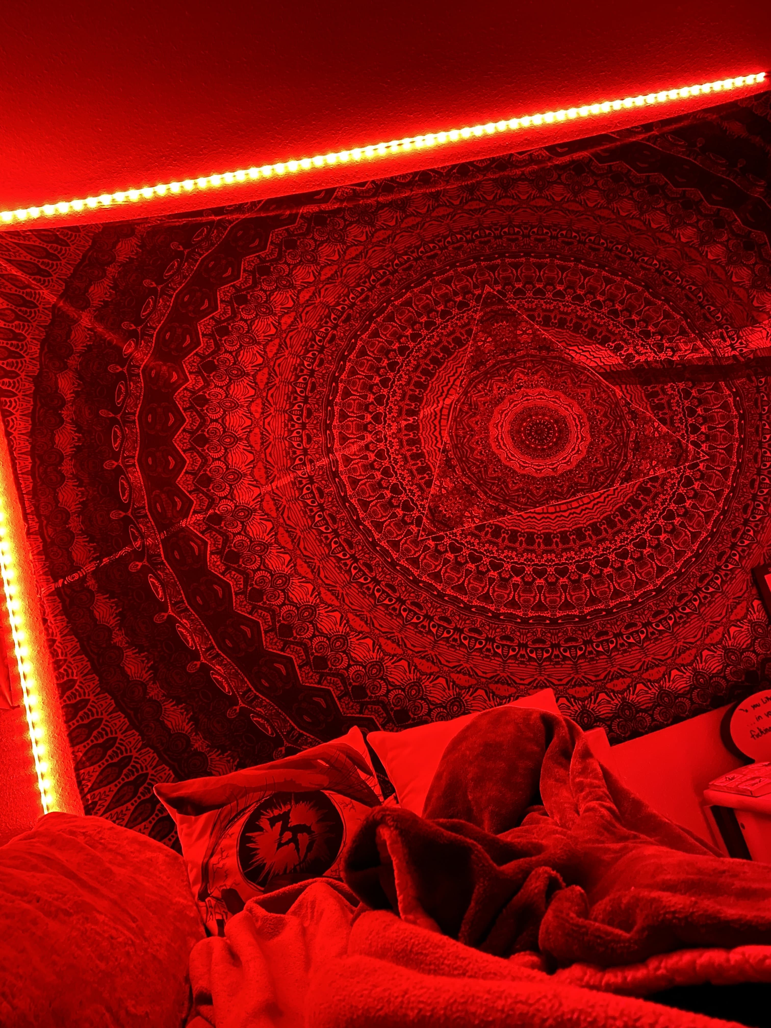 Monte Papi banner image