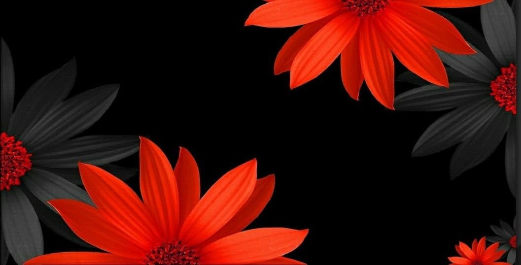 Crystina Sanchez banner image