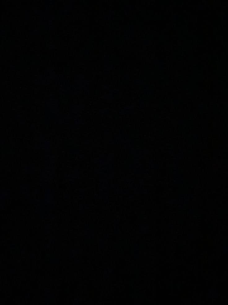 Evelyn banner image