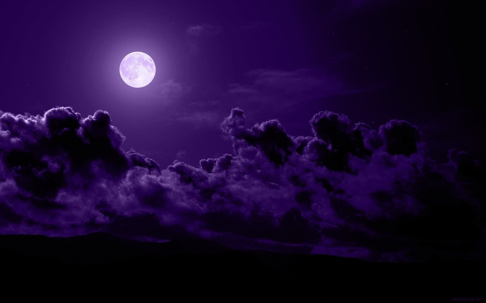 Meissa 💜 banner image