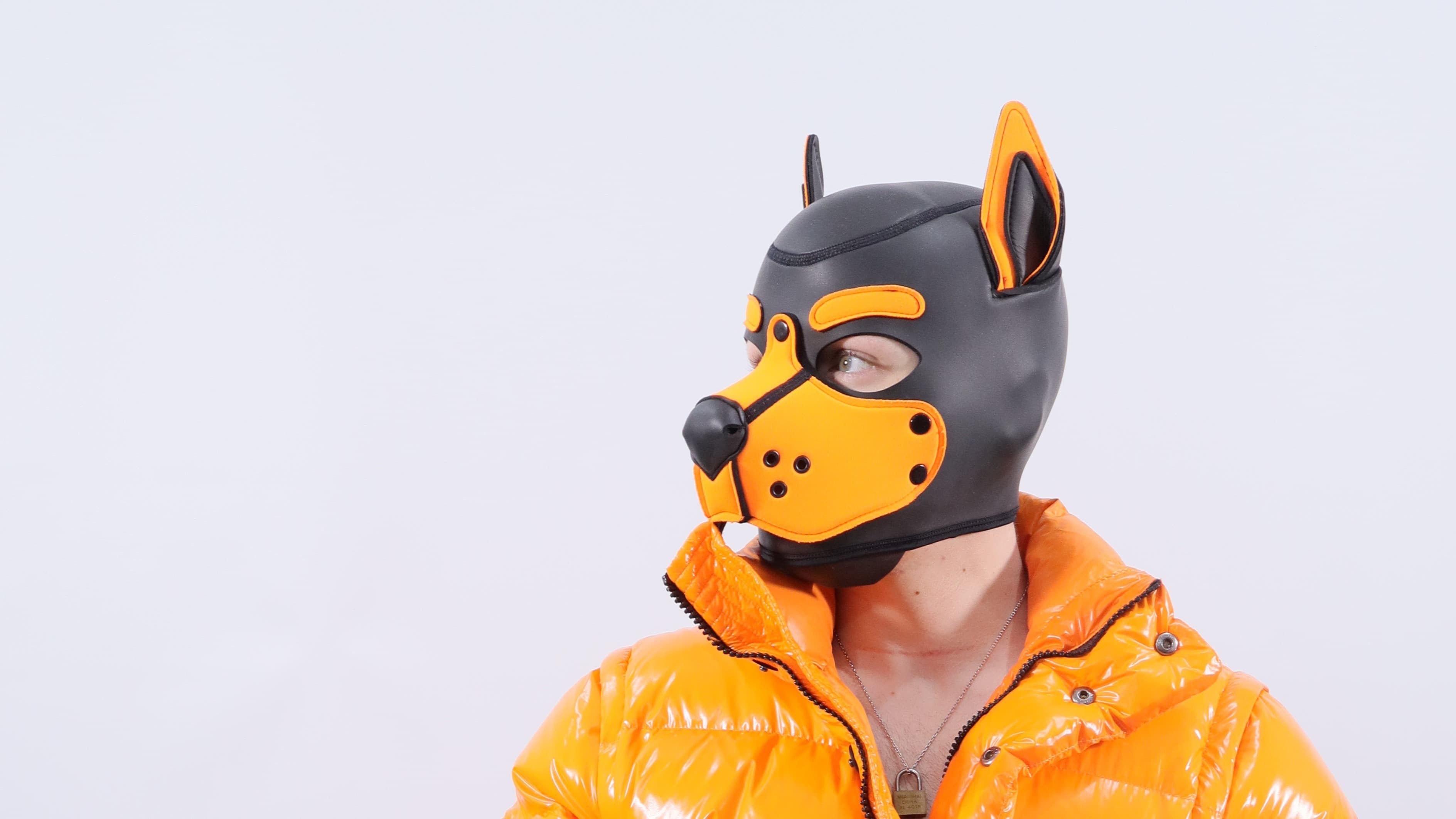 Hama pup banner image