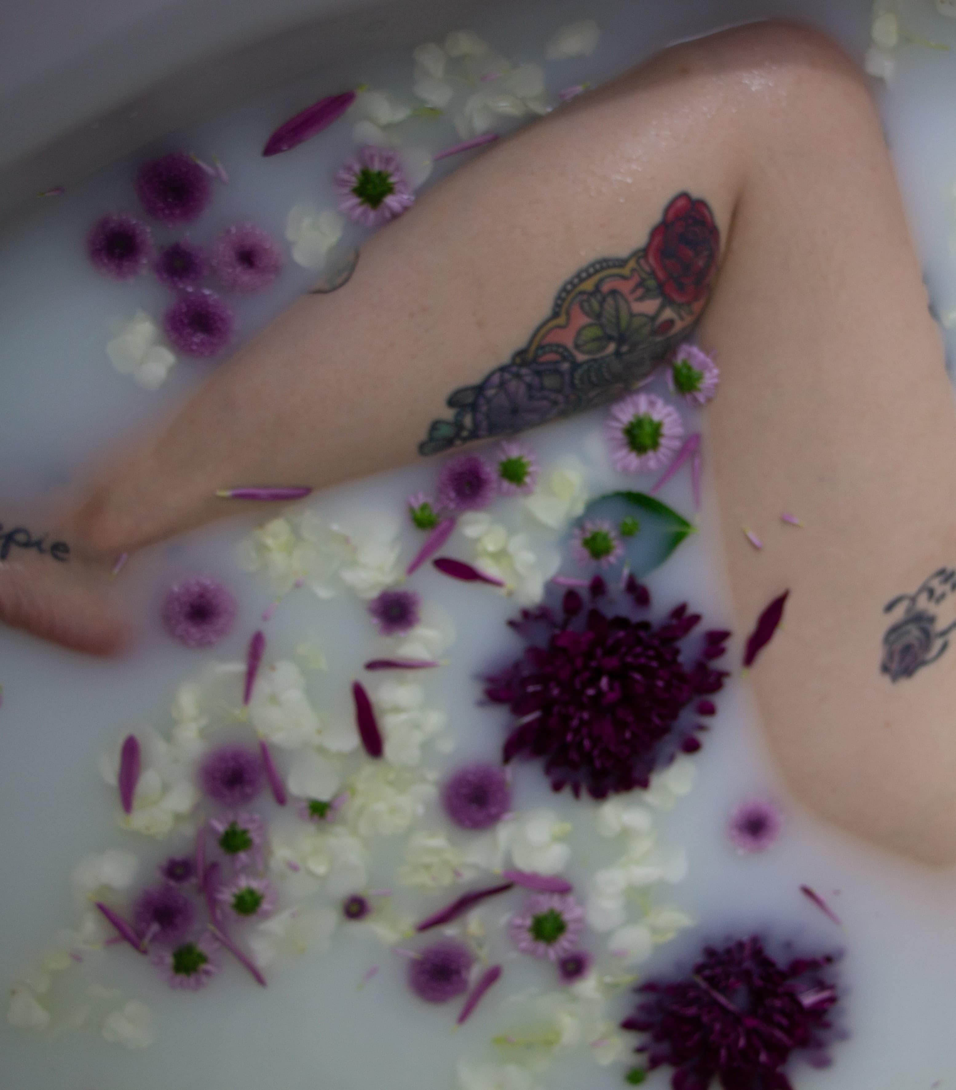 Petal Pocket (they/them) banner image