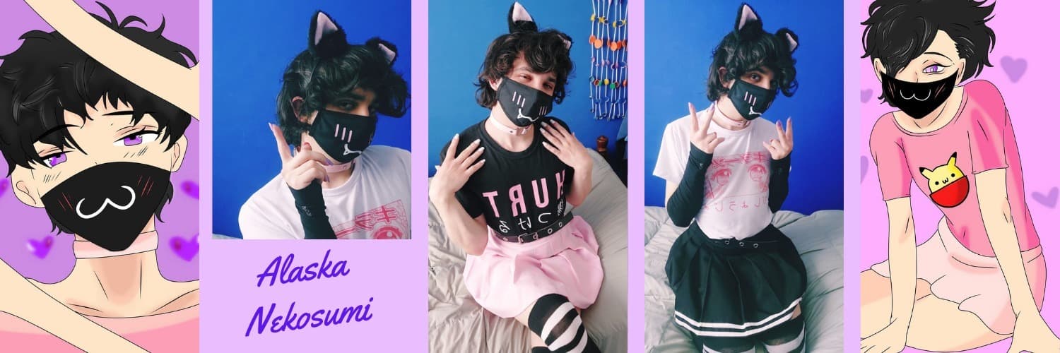 Alaska Nekosumi banner image