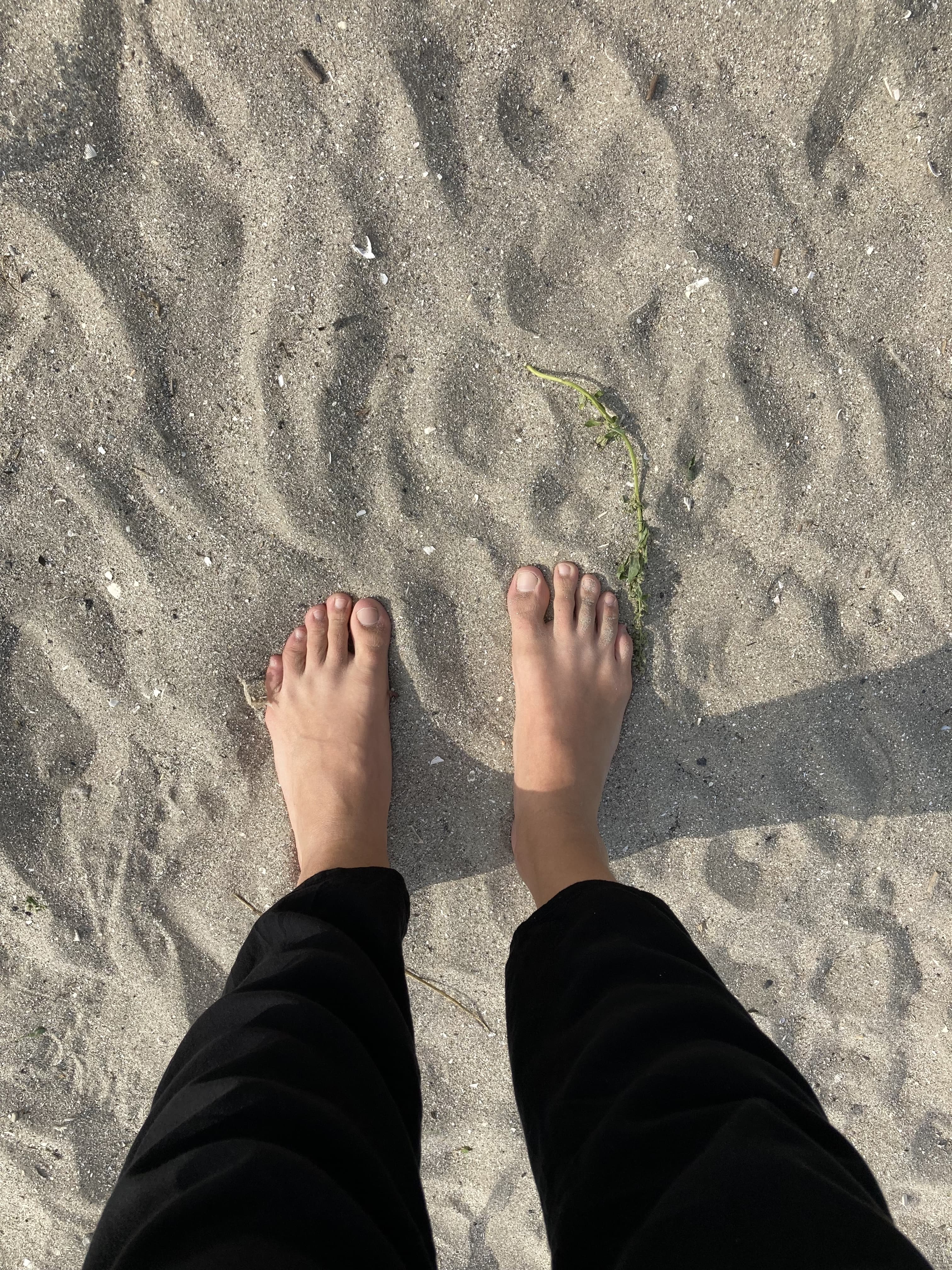 Feet banner image