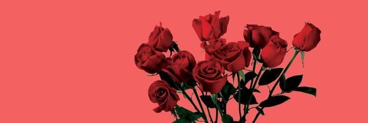Rosie banner image