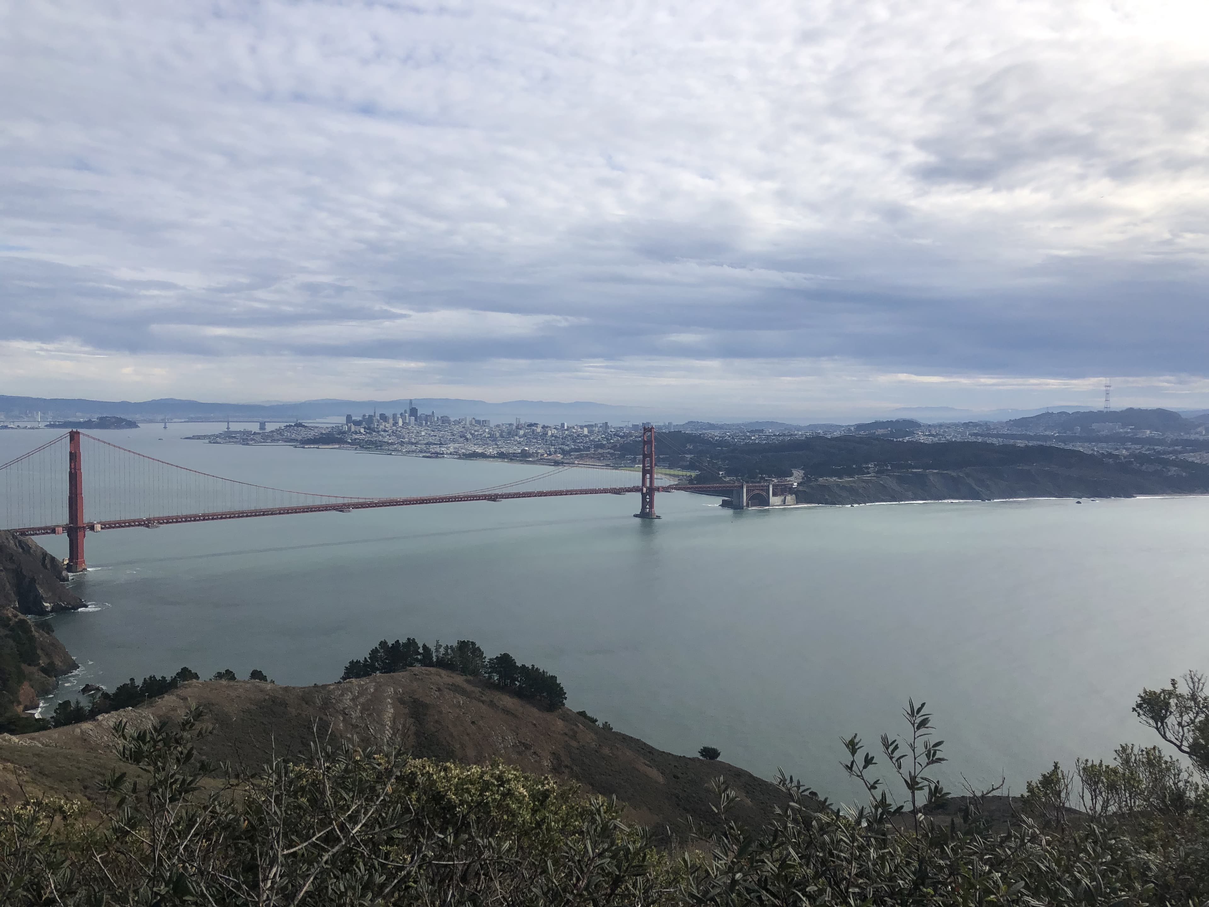 PlantDaddy_SF banner image