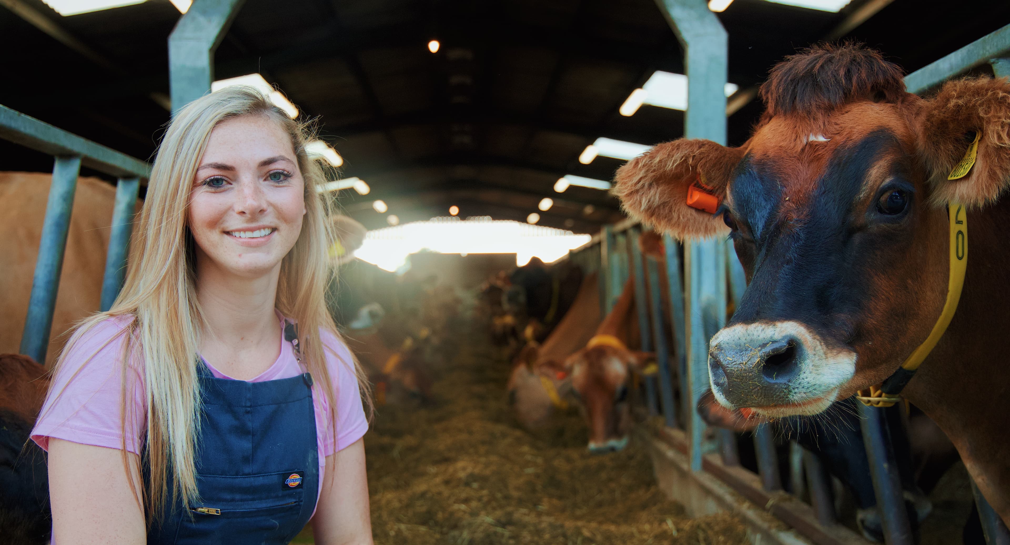 Becky Houzé 🐮 banner image