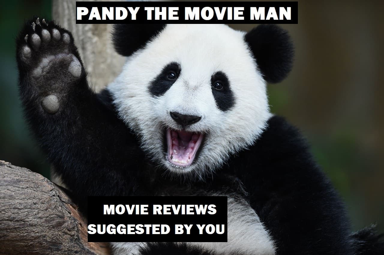 Pandy Andy banner image