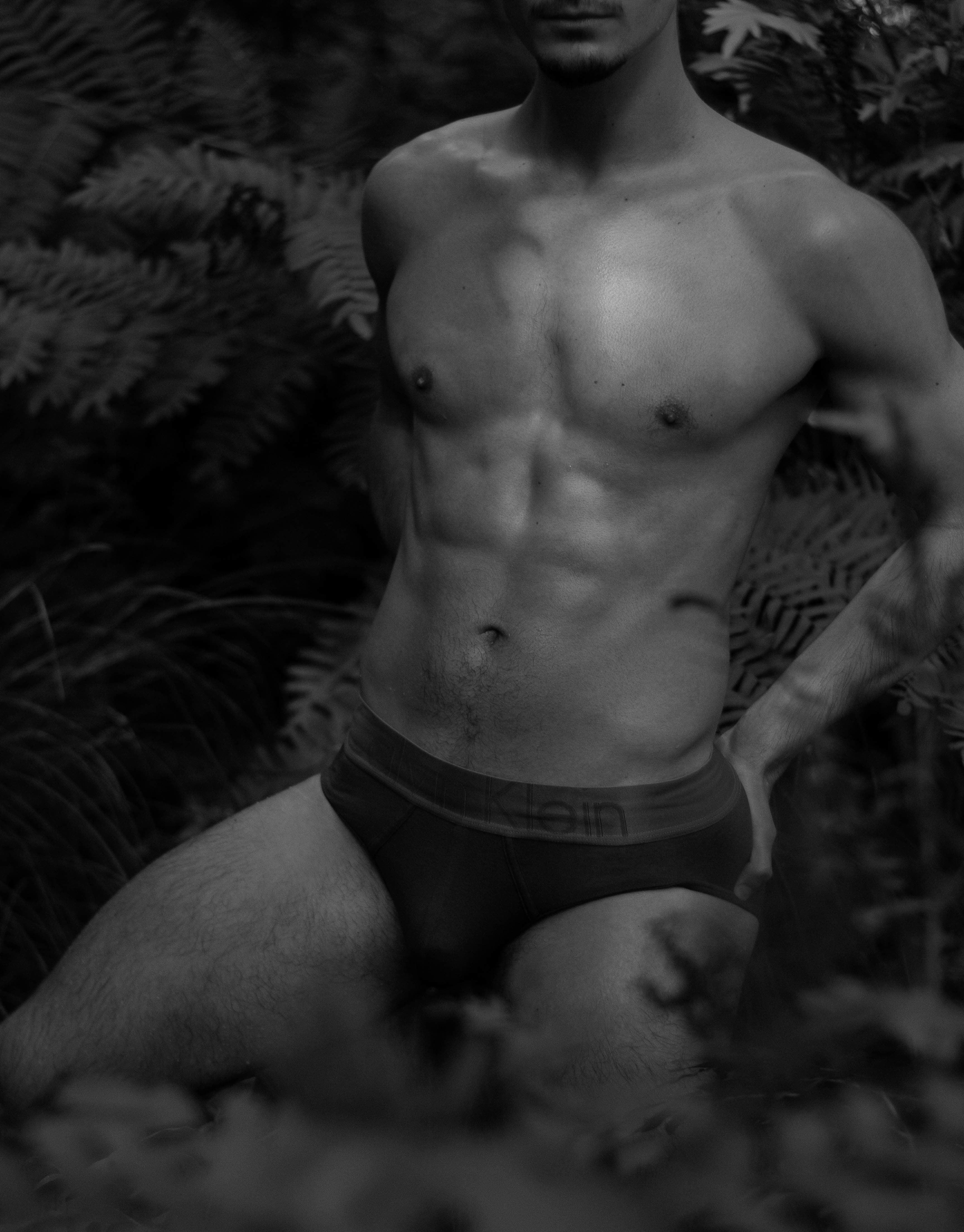 James banner image