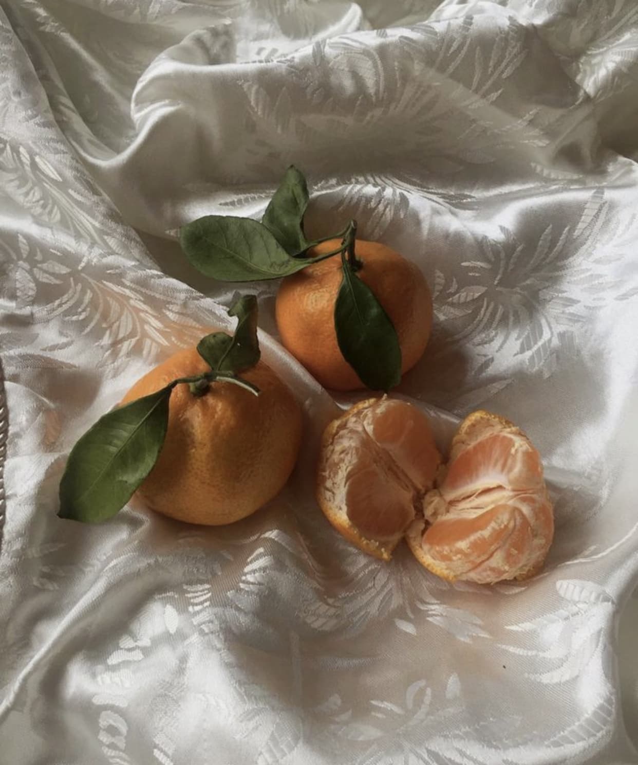 clem🍊 banner image