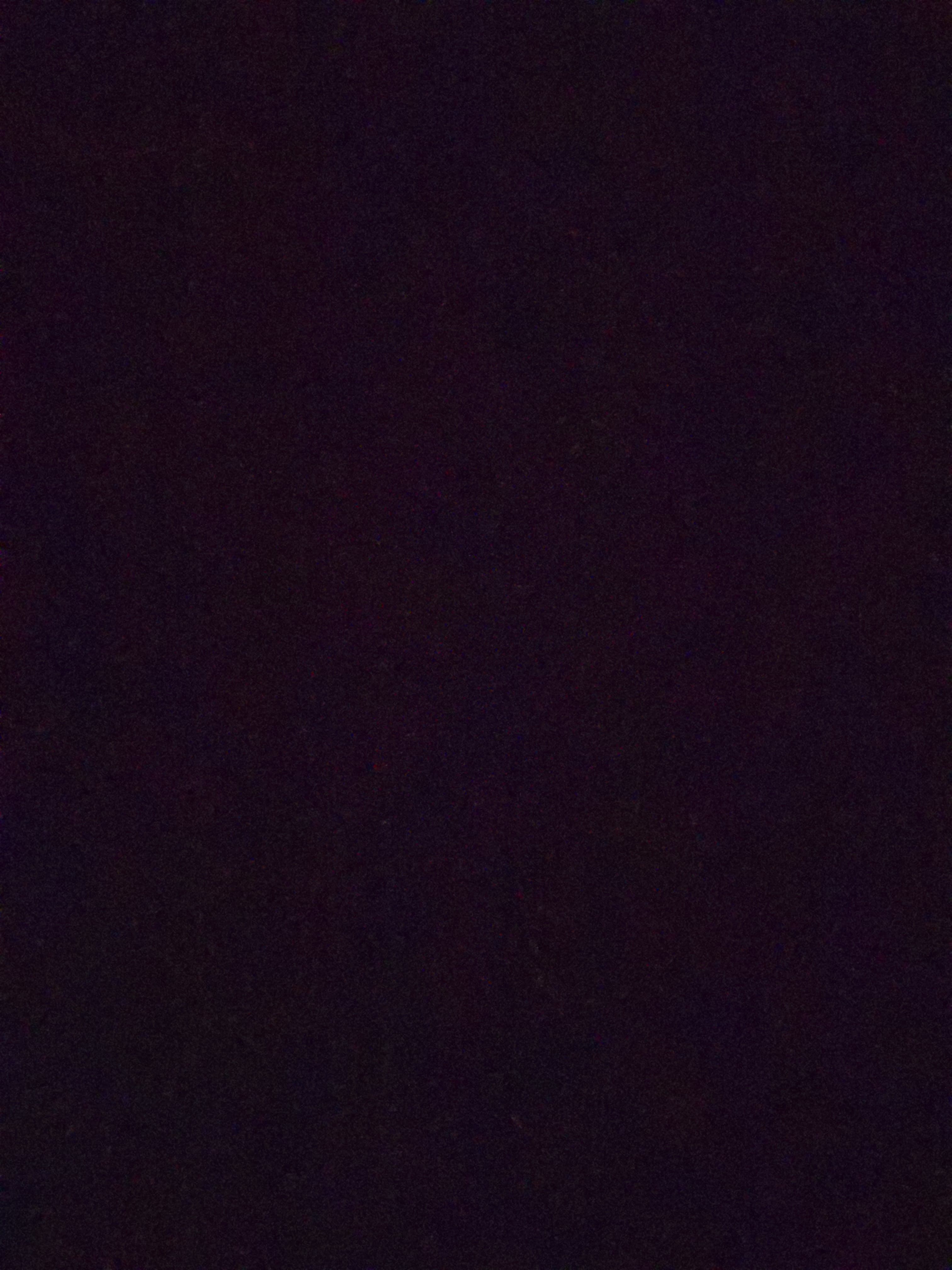 BimbotFree banner image