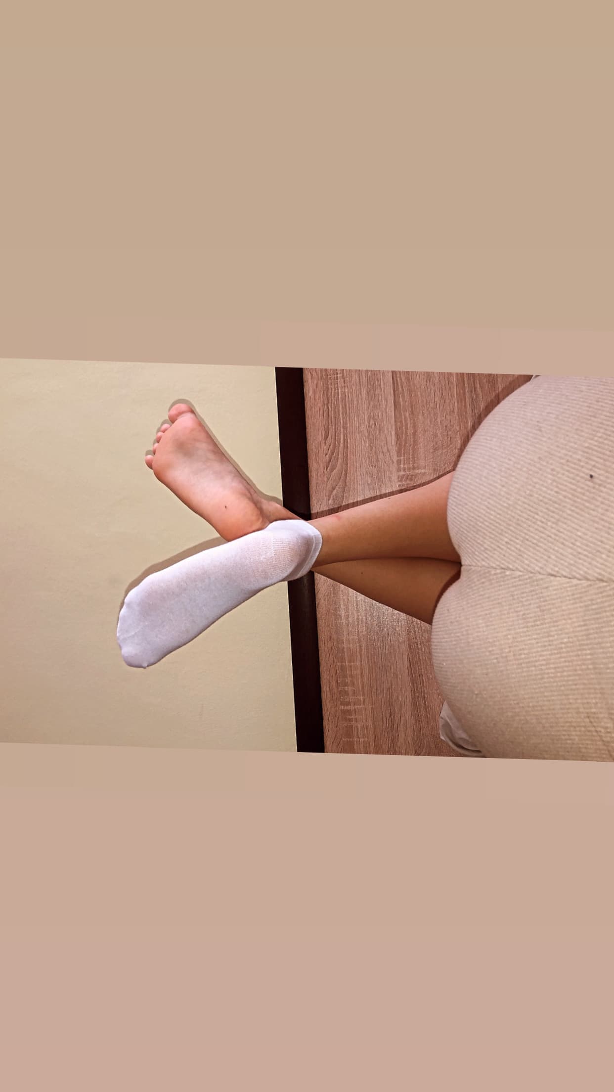 Naughty_Paws banner image