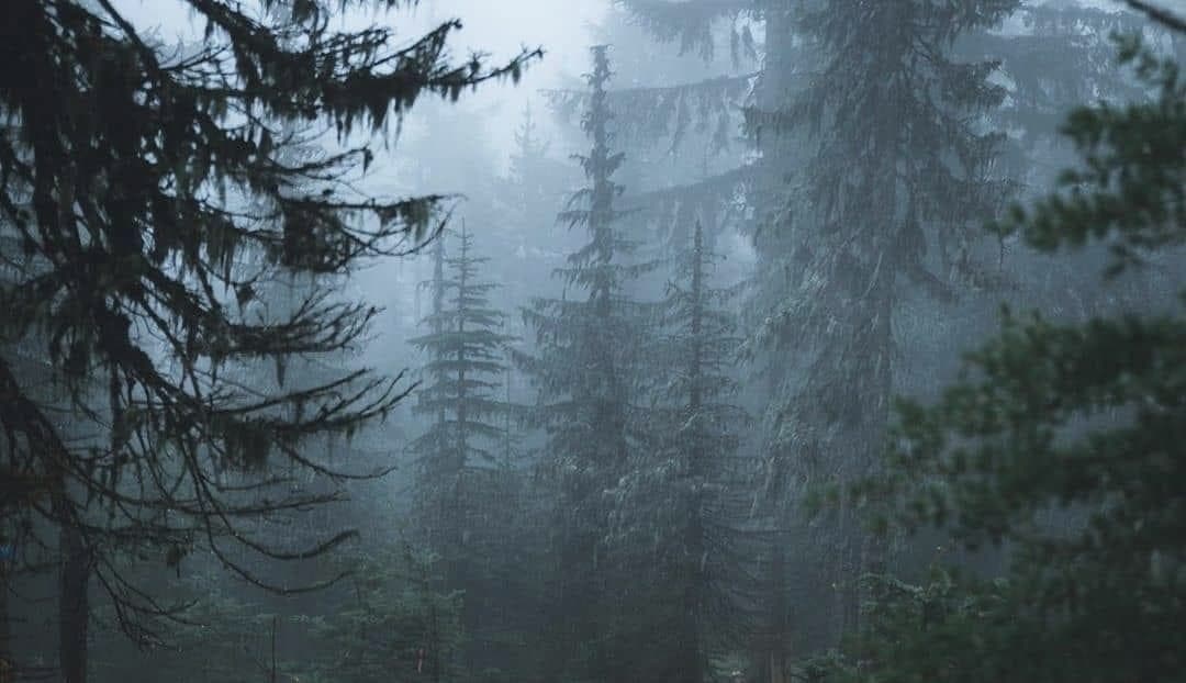 Arrow banner image