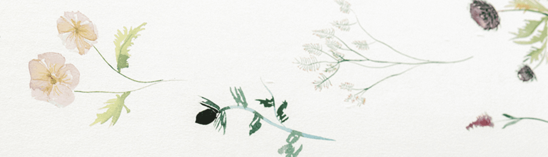 Adore Floral banner image