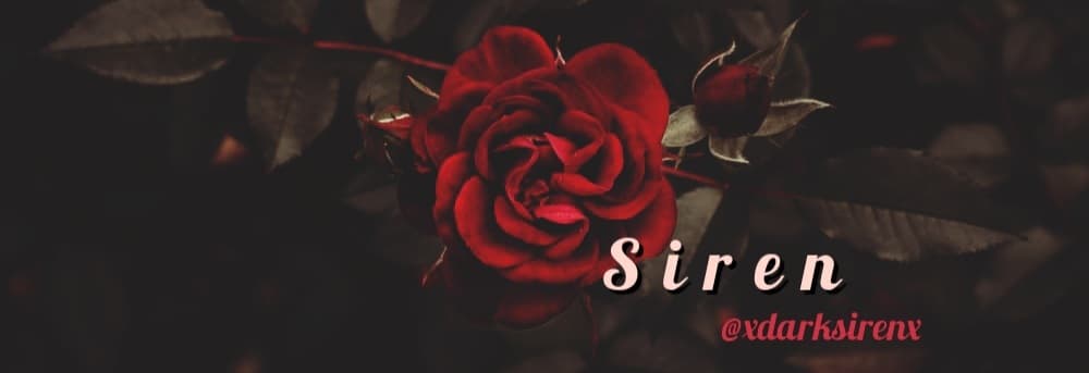 Obsidian Wolf banner image