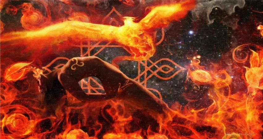 Lotuslove banner image