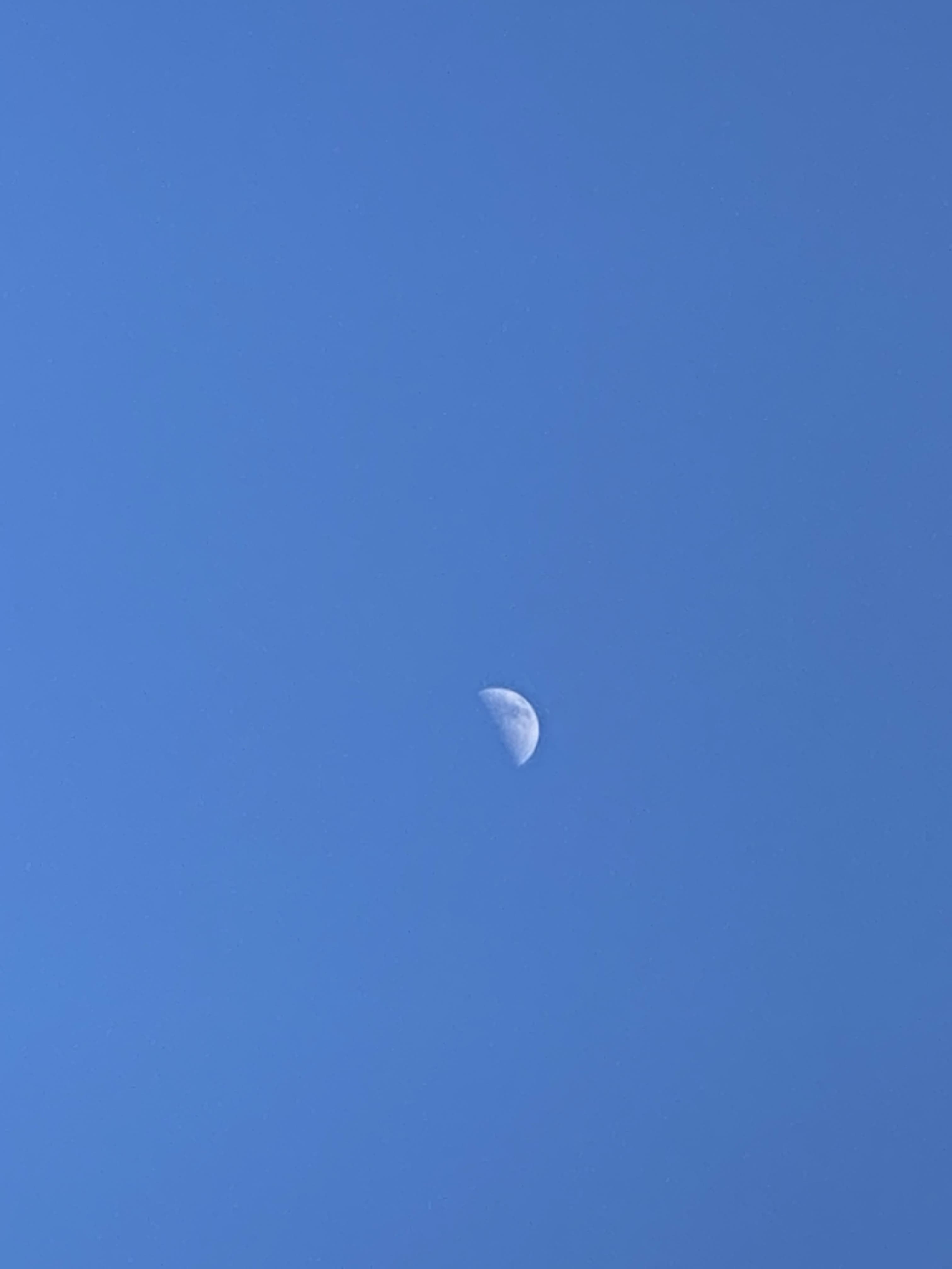 Lauri banner image
